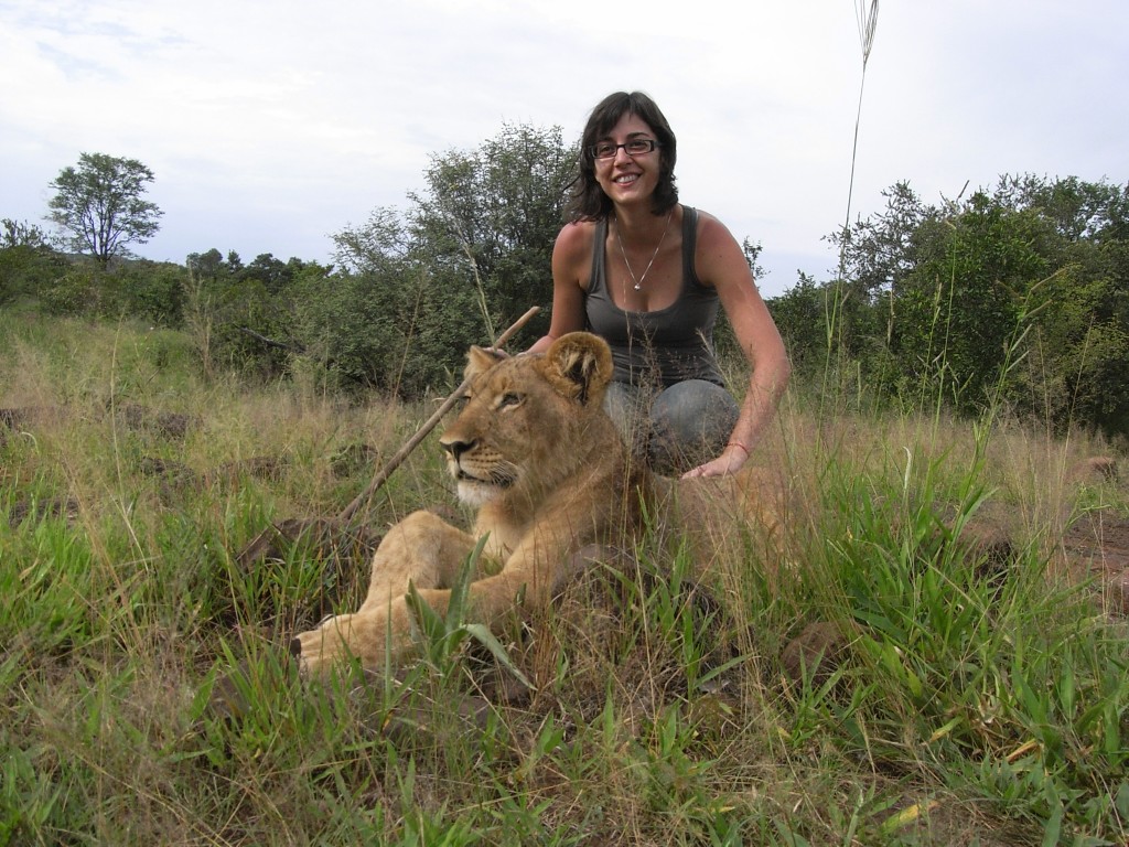 Iria acariciando un león zimbabwe