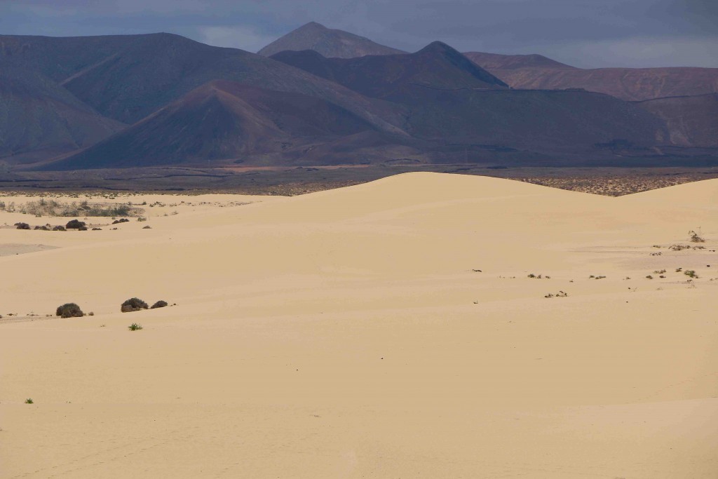 Las dunas del Parque Natural de Corralejo (Fuerteventura) dan paso a montañas volcánicas.